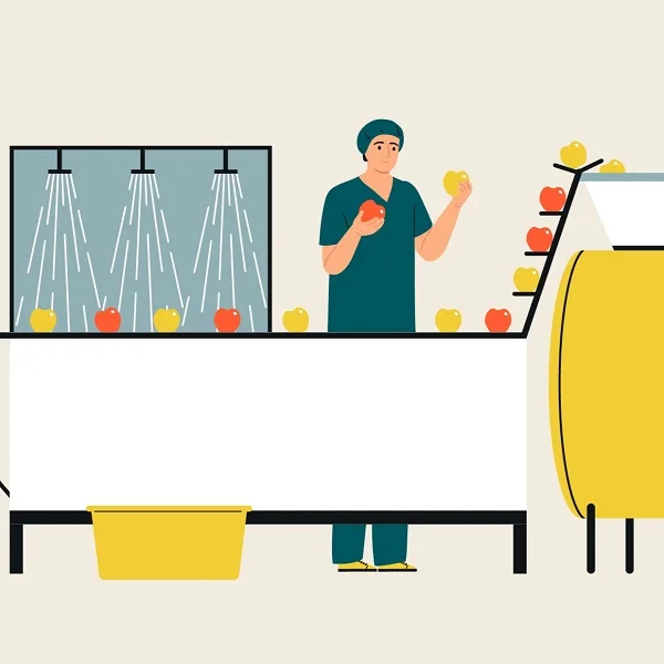 Suppliers from the sustainability sector promote their organic products to a global B2B audience on Ecotrado.