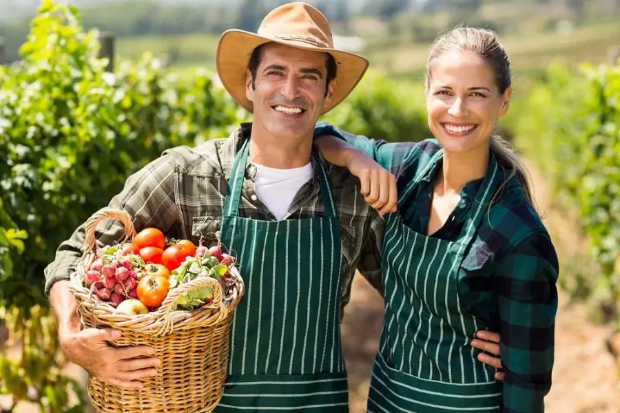 Eco suppliers exploring how Ecotrado helps boost their visibility and connect with buyers