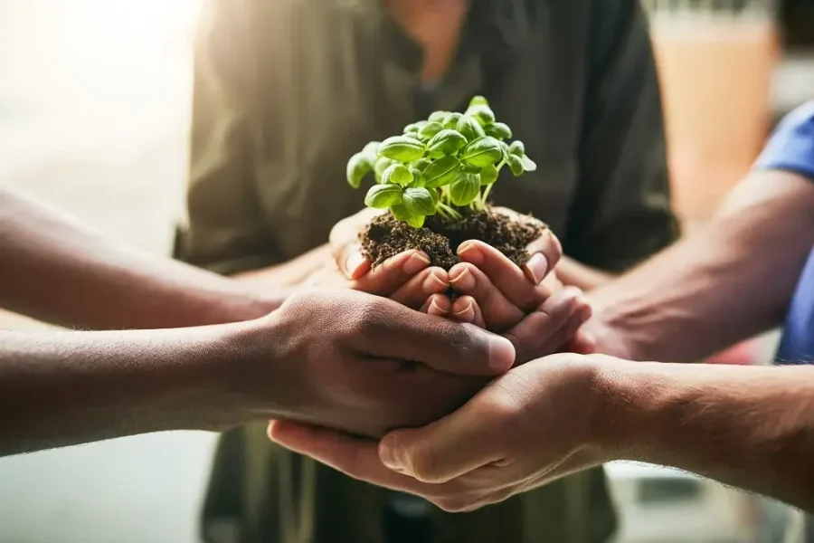 Ecotrado's vision for building a greener future through international organic trade